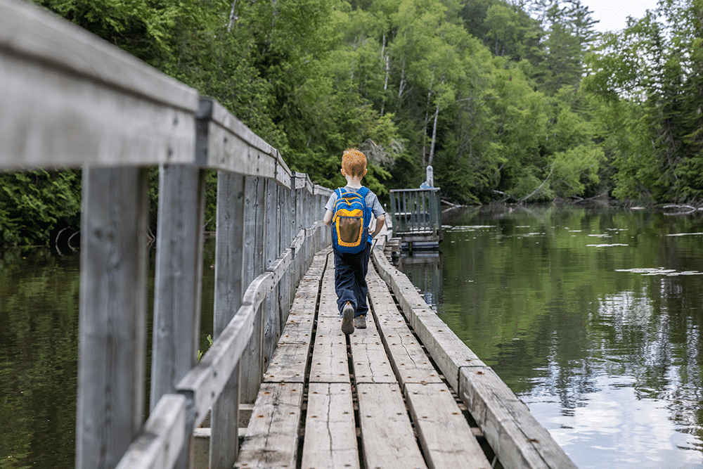 Top 5 Family-Friendly Hiking Trails in Canada 4 Young boy walking in Parc National de la Mauricie, Quebec, Canada